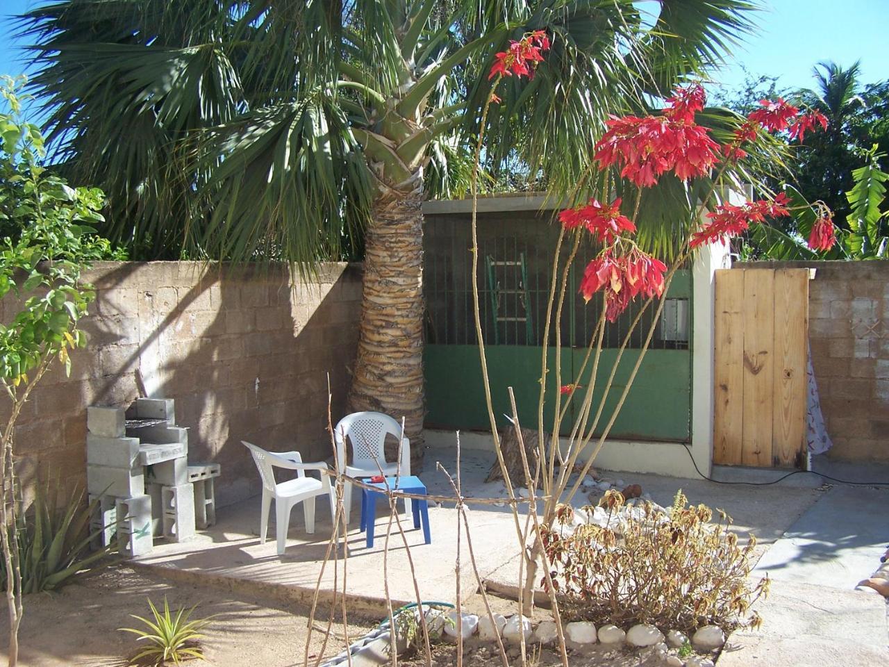 פדרנאלס Hotel B&B Italia Caribe מראה חיצוני תמונה